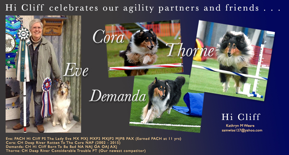 Hi Cliff Collies -- Celebrates our agility partners and friends!