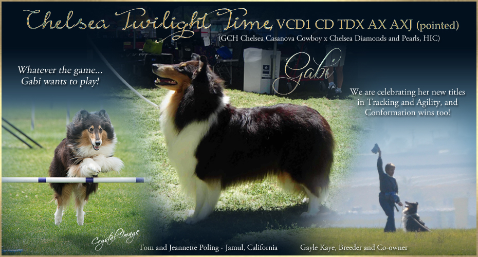 Tom and Jeannette Poling -- Chelsea Twilight Time VCD1 CD TDX AX AXJ