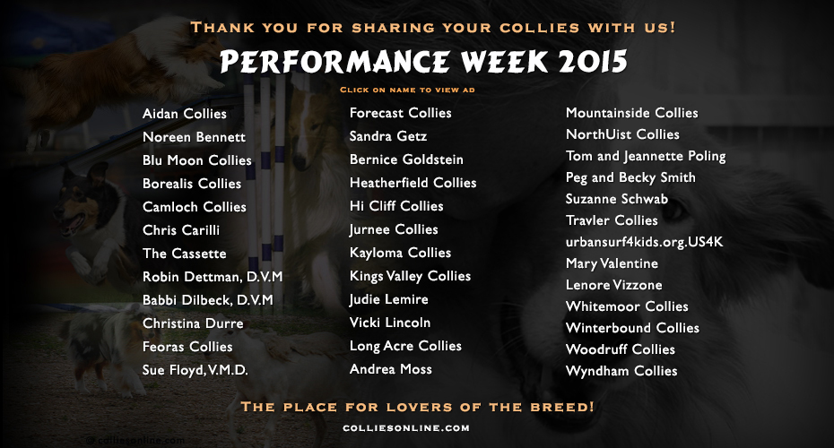 colliesonline.com -- Performance Week 2015 -- Thank you for sharing your collies with us!