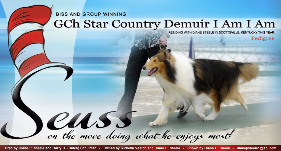Star Country Collies / Hollicove Collies -- GCH Star Country Demuir I Am I Am