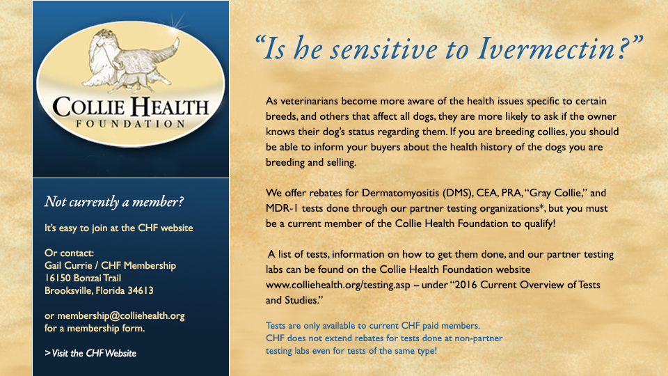Collie Health Foundation -- Rebates available to CHF Members for Health Tests