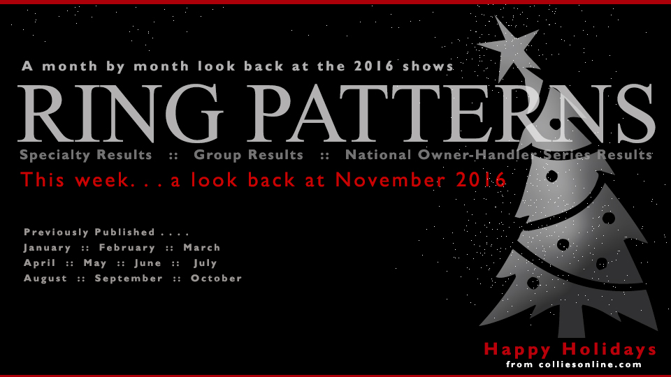 Colliesonline.com -- Ring Patterns, a month by month look back at the 2016 shows