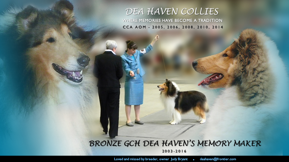 Dea Haven Collies -- In Loving Memory of Bronze GCH Dea Haven's Memory Maker