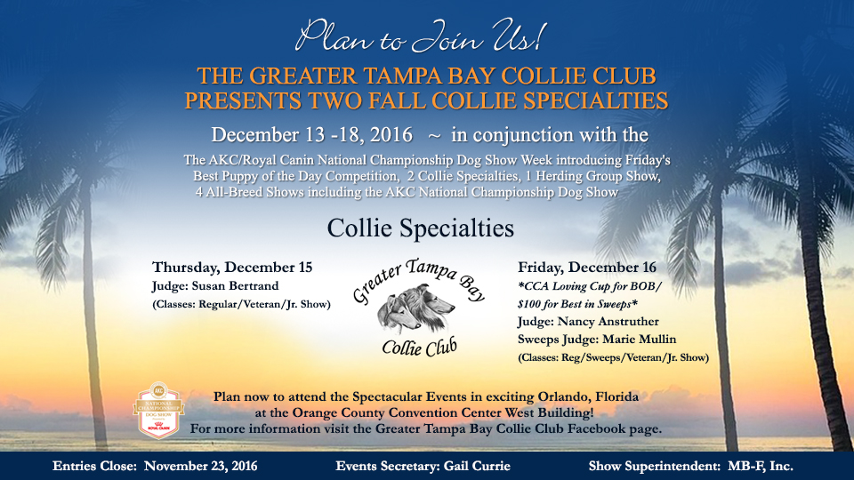 Greater Tampa Bay Collie Club -- 2016 Specialty Shows