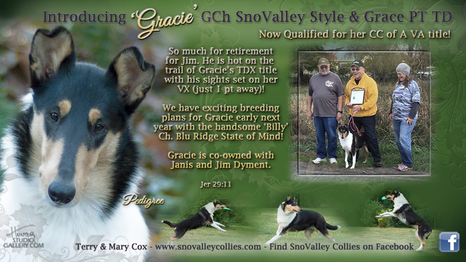 SnoValley Collies -- GCH SnoValley Style & Grace PT TD