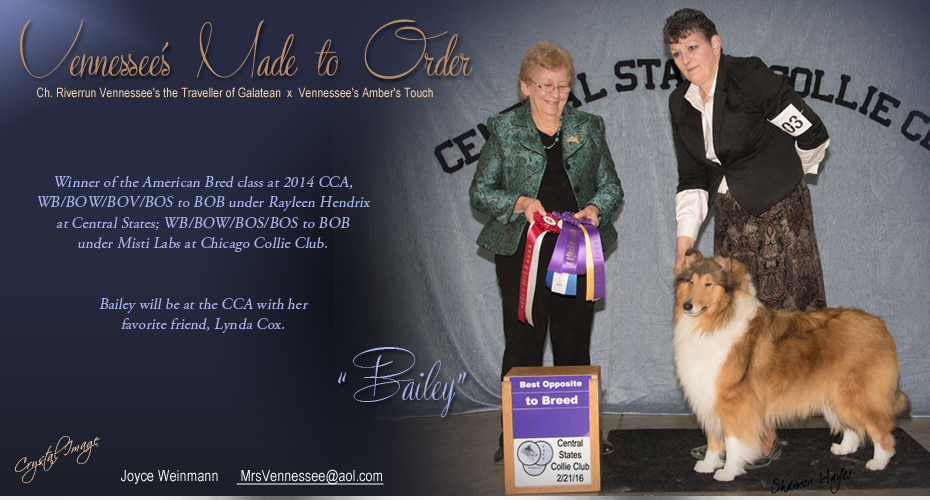 Vennessee Collies -- Vennessee's Made To Order