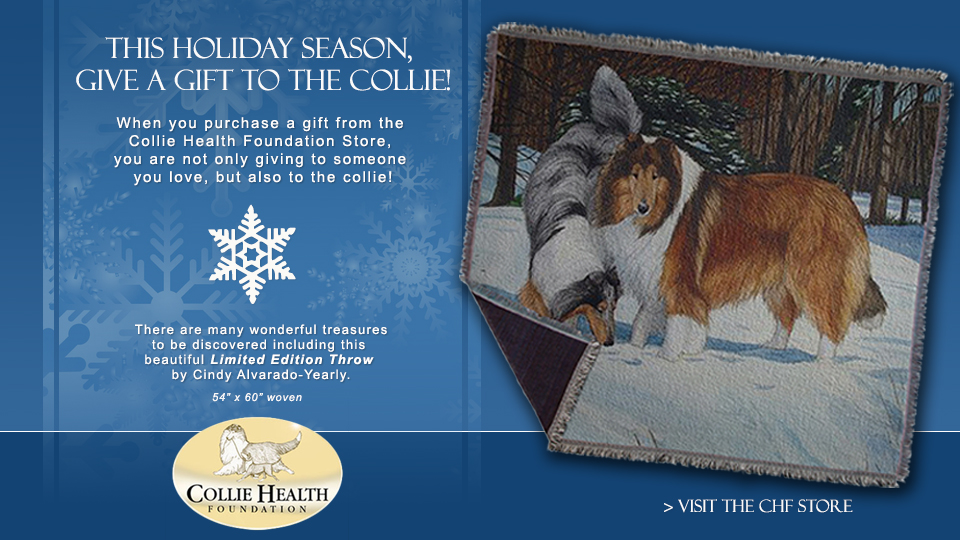 Collie Health Foundation -- Give a gift to the Collie