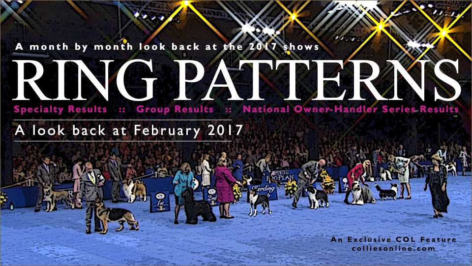 Ring Patterns -  A month by month look back at the 2017 shows