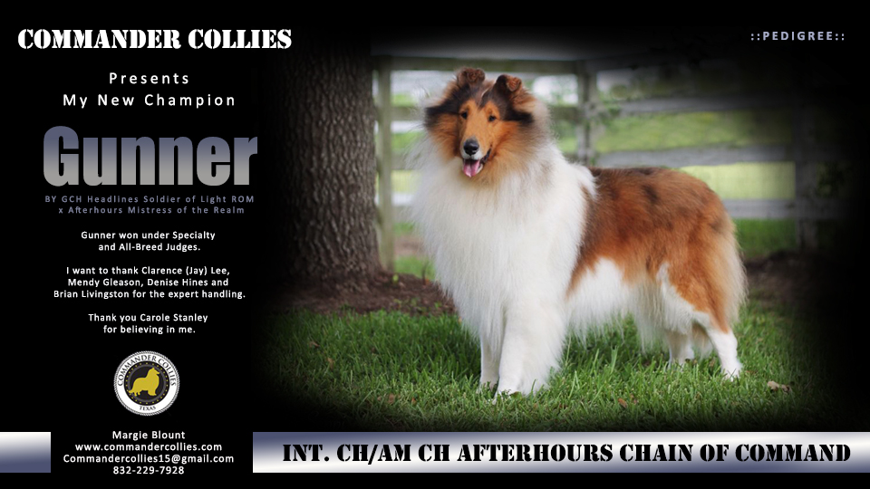 Commander Collies -- INT  CH / AM CH Afterhours Chain Of Command