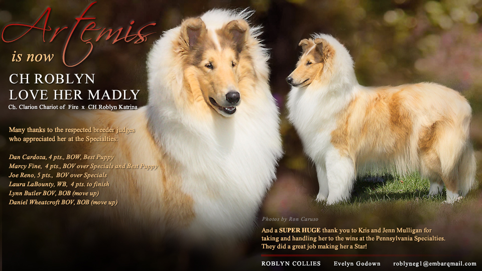 Roblyn Collies  -- CH Roblyn Love Her Madly