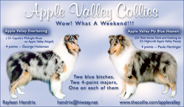 Apple Valley Collies -- Apple Valley Everlasting/Apple Valley My Blue Heaven