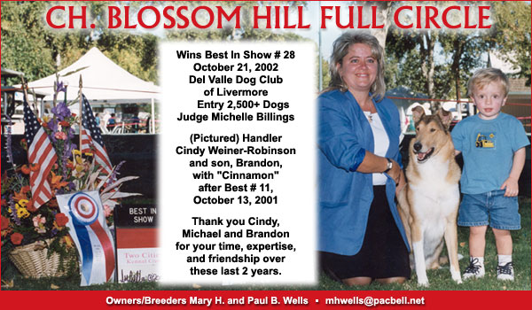 Blossom Hill Collies -- Ch. Blossom Hill Full Circle