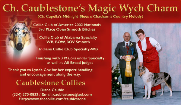 Caublestone Collies -- Ch. Caublestone's Magic Wych Charm