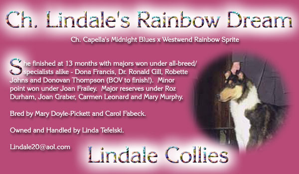 Lindale Collies -- Ch. Lindale's Rainbow Dream