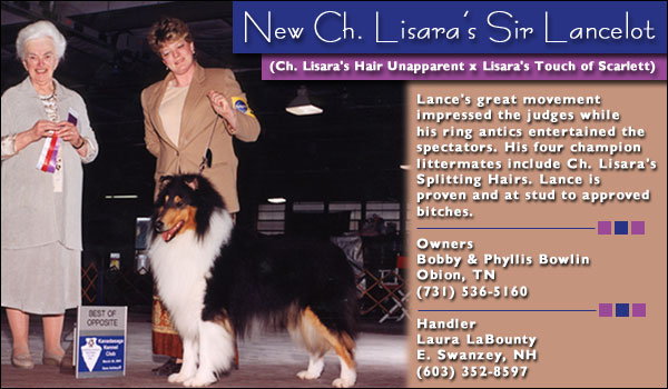 New Ch. Lisara's Sir Lancelot -- Owners: Bobby and Phyllis Bowling/Handler: Laura LaBounty