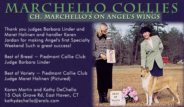 Marchello Collies -- Ch. Marchello's On Angel's Wings