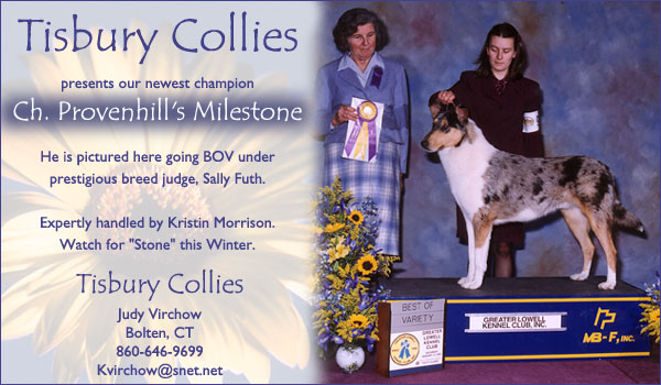 Tisbury Collies -- Ch. Provenhill's Milestone