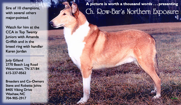 North Country Collies -- Ch. Row-Bar's Northern Exposure