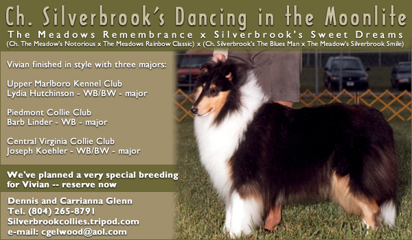Silverbrook Collies -- Ch. Silverbrook's Dancing in the Moonlite