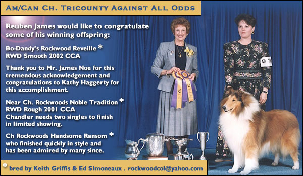 Rockwood Collies -- Am/Can Ch. Tri-County Against All Odds