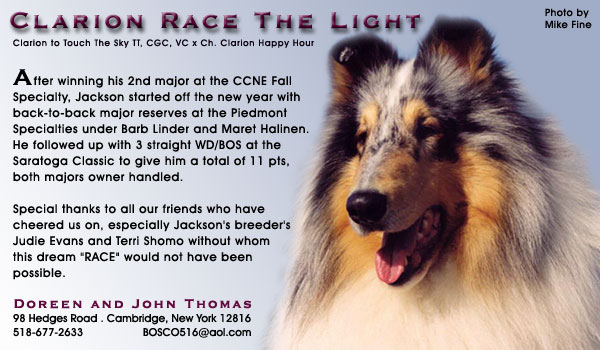 Greatview Collies -- Clarion Race the Light