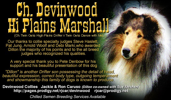 Devinwood Collies -- Ch. Devinwood's Hi Plains Marshall