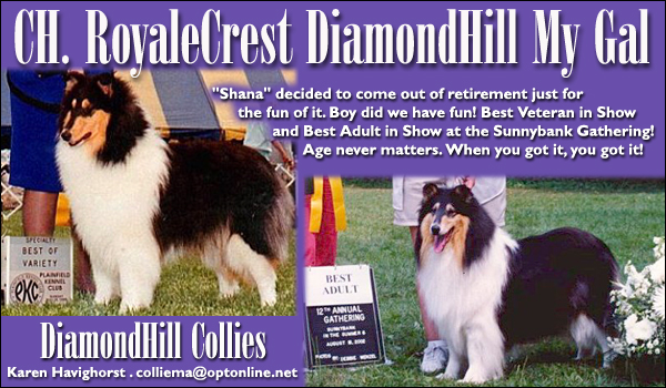 DiamondHill Collies -- Ch. RoyalCrest DiamondHill My Gal