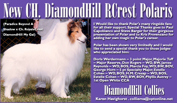 DiamondHill Collies -- Ch. DiamondHill RCrest Polaris