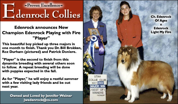 Edenrock Collies – New Ch. Edenrock Playing With Fire
