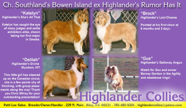 Highlander Collies -- Highlander's She's All That/Can. Ch. Highlander's Divine Wysdom, HIT 