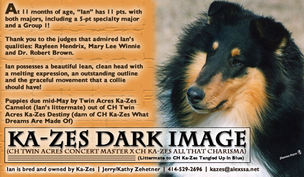 Ka-Zes Collies -- Ka-Ze's Dark Image