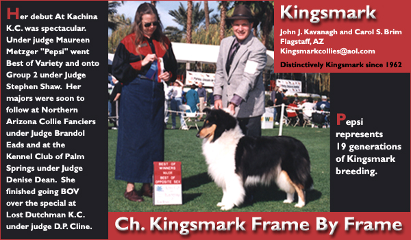 Kingsmark Collies -- Ch. Kingsmark Frame By Frame
