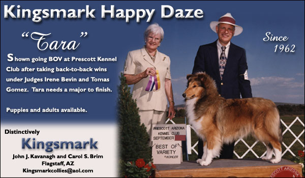 Kingsmark Collies -- Kingsmark Happy Daze
