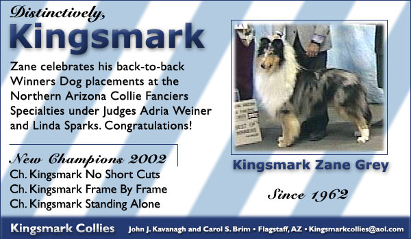 Kingsmark Collies -- Kingsmark Zane Grey