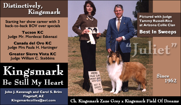 Kingsmark Collies -- Kingsmark Be Still My Heart