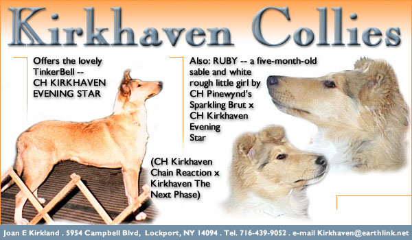 Kirkhaven Collies -- Ch. Kirkhaven Evening Star