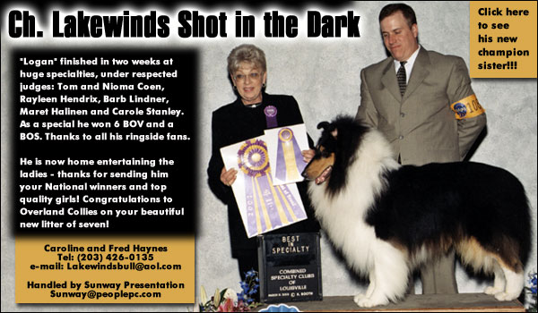Lakewinds Collies -- Ch. Lakewinds Shot In The Dark