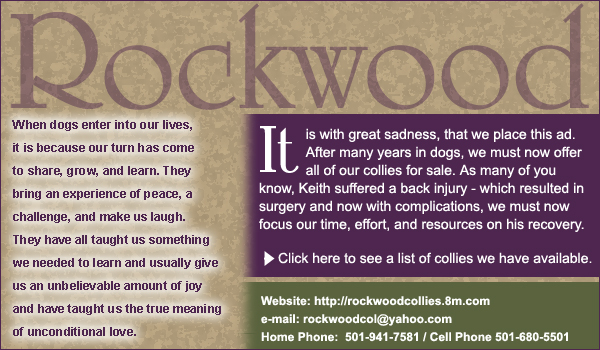 Rockwood Collies