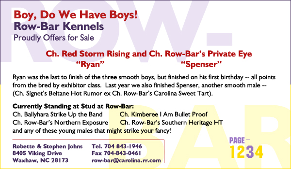 Row-Bar Collies -- Boy, Do We Have Boys!