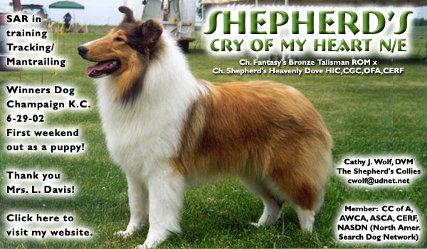 Shepherd's Collies -- Shepherd's Cry Of My Heart 