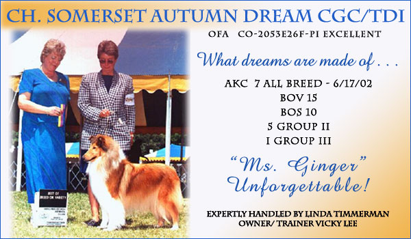 Somerset Collies -- Ch. Somerset Autumn Dream, CGC/TDI
