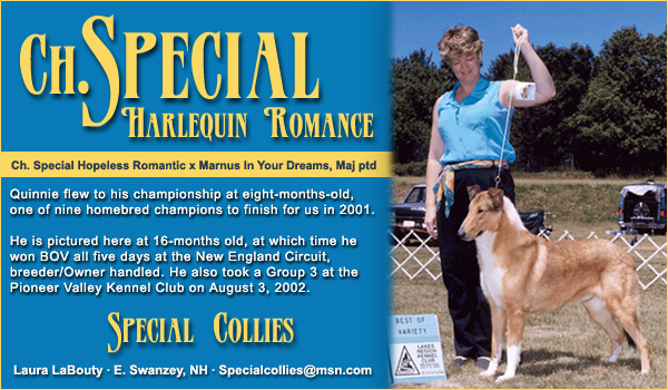 Special Collies -- Ch. Special Harlequin Romance