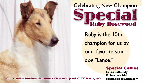 Special Collies -- Ch. Special Ruby Rosewood