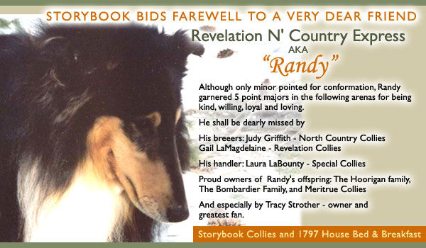 Storybook Collies -- Revelation N' Country Express