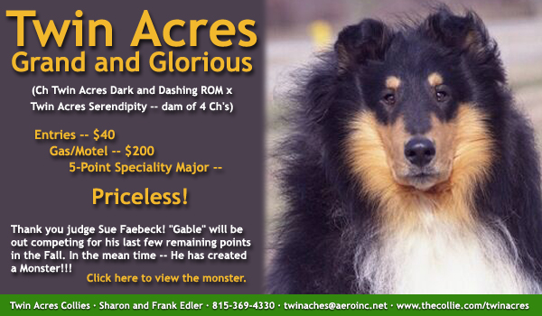 Twin Acres Collies -- Twin Acres Grand and Glorious