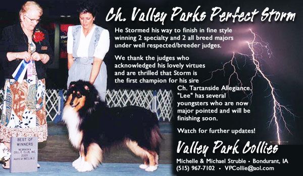 Valley Parks Collies -- Ch. Valley Parks Perfect Storm