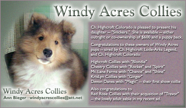 Windy Acres Collies 