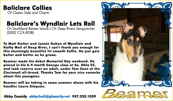 Baliclare's Wyndlair Lets Roll