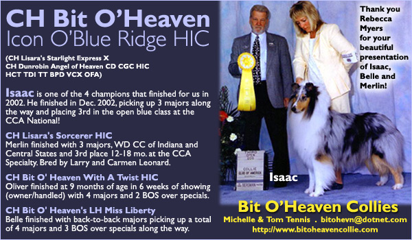 Ch. Bit O'Heaven Icon O'Blue Ridge HIC