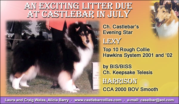Ch. Castlebar's Evening Star